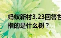 蚂蚁新村3.23回答世界一片金黄的时候中国指的是什么树？