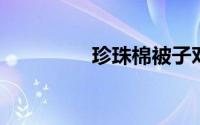 珍珠棉被子对身体有害吗