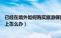 已经在境外如何购买旅游保险（出国旅游购买的保险没带身上怎么办）