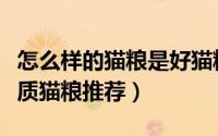 怎么样的猫粮是好猫粮（猫粮怎么选择六款优质猫粮推荐）