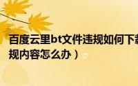 百度云里bt文件违规如何下载（BT文件下载文件名中包含违规内容怎么办）