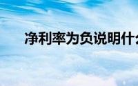 净利率为负说明什么（净利率怎么算）
