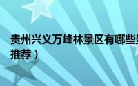 贵州兴义万峰林景区有哪些景点（贵州兴义万峰林必去景点推荐）