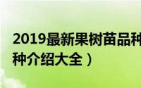 2019最新果树苗品种（2018年果树苗最新品种介绍大全）