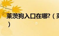 莱茨狗入口在哪?（莱茨狗购买链接怎么得到）