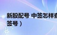 新股配号 中签怎样查（新股有配号怎么查中签号）