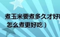 煮玉米要煮多久才好吃（煮玉米需要多长时间 怎么煮更好吃）