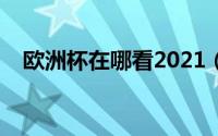 欧洲杯在哪看2021（欧洲杯在哪看直播）