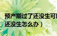 预产期过了还没生可以吃山楂吗（预产期过了还没生怎么办）