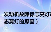 发动机故障标志亮灯车辆抖动（发动机故障标志亮灯的原因）