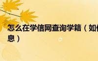 怎么在学信网查询学籍（如何在学信网中查询自己的学籍信息）