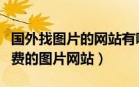 国外找图片的网站有哪些（如何找到国内外免费的图片网站）