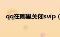 qq在哪里关闭svip（qq在哪里关联账号）