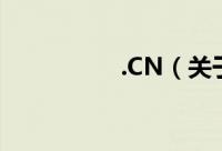 .CN（关于.CN的简介）