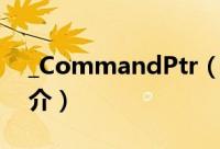 _CommandPtr（关于_CommandPtr的简介）