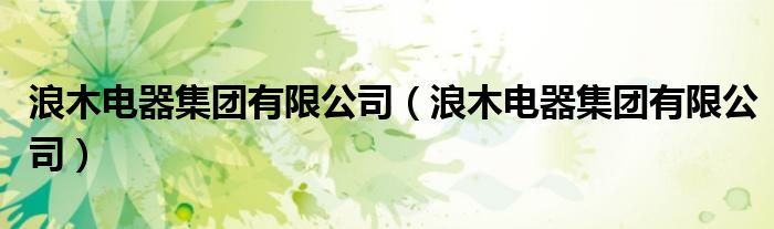 浪木电器集团有限公司（浪木电器集团有限公司）