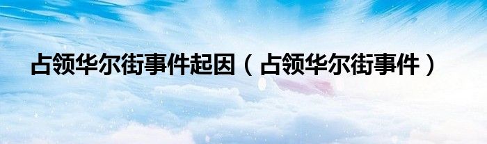 占领华尔街事件起因（占领华尔街事件）