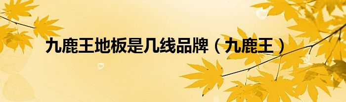 九鹿王地板是几线品牌（九鹿王）