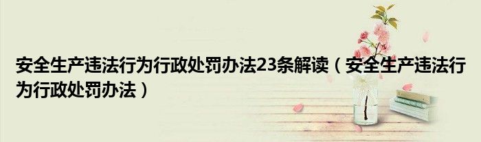 安全生产违法行为行政处罚办法23条解读（安全生产违法行为行政处罚办法）