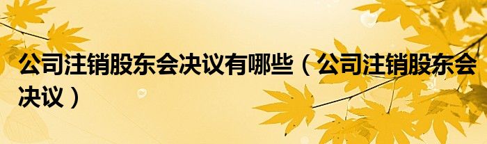 公司注销股东会决议有哪些（公司注销股东会决议）