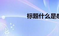 标题什么是感光变色印花