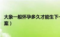 大象一般怀孕多久才能生下一个象宝宝（蚂蚁庄园5月6日答案）
