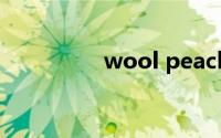 wool peach是什么面料