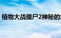 植物大战僵尸2神秘的埃及种子保卫战第二天
