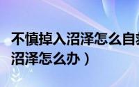 不慎掉入沼泽怎么自救（沼泽自救的方法陷入沼泽怎么办）