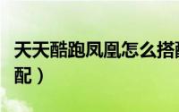 天天酷跑凤凰怎么搭配（天天酷跑凤凰怎么搭配）