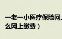 一老一小医疗保险网上缴费（一老一小保险怎么网上缴费）