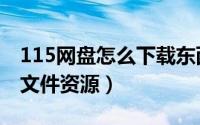 115网盘怎么下载东西（如何下载115网盘的文件资源）