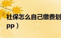 社保怎么自己缴费划算（社保怎么自己缴费app）