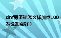 dnf男圣骑怎么样加点100（DNF100级版本男圣骑士刷图怎么加点好）