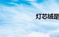 灯芯绒是什么面料