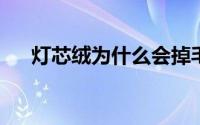 灯芯绒为什么会掉毛灯芯绒掉毛怎么办