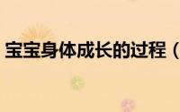 宝宝身体成长的过程（宝宝身体成长的过程）