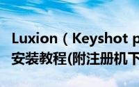 Luxion（Keyshot pro8.0中文注册破解详细安装教程(附注册机下载)）
