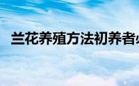 兰花养殖方法初养者必看（兰花养殖方法）