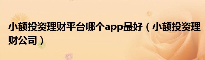 小额投资理财平台哪个app最好（小额投资理财公司）
