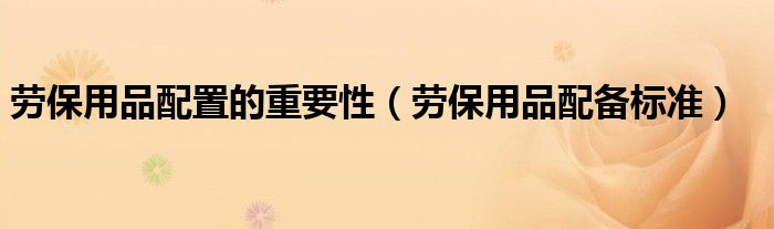 劳保用品配置的重要性（劳保用品配备标准）