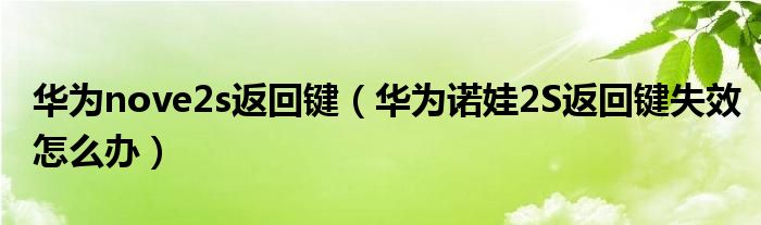 华为nove2s返回键（华为诺娃2S返回键失效怎么办）
