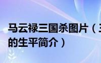 马云禄三国杀图片（三国杀中如何得知马云騄的生平简介）