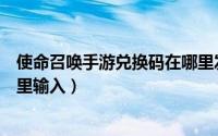 使命召唤手游兑换码在哪里发布（使命召唤手游兑换码在哪里输入）