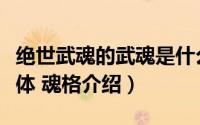 绝世武魂的武魂是什么（《武魂天下》中的魂体 魂格介绍）