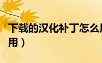 下载的汉化补丁怎么用（汉化补丁程序怎样使用）