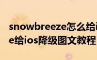 snowbreeze怎么给ios降级用（snowbreeze给ios降级图文教程）