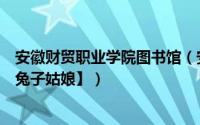 安徽财贸职业学院图书馆（安徽财经大学图书馆使用指南【兔子姑娘】）