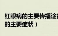红眼病的主要传播途径是接触传播吗（红眼病的主要症状）