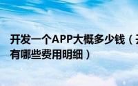 开发一个APP大概多少钱（开发一个APP大概需要多少钱都有哪些费用明细）